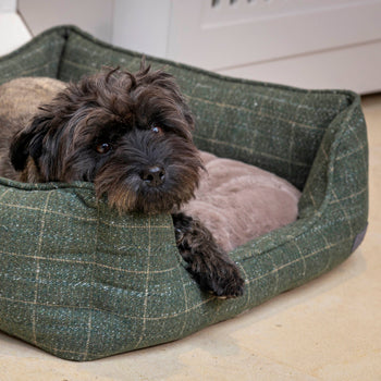 Moss tweed green rectangle bed
