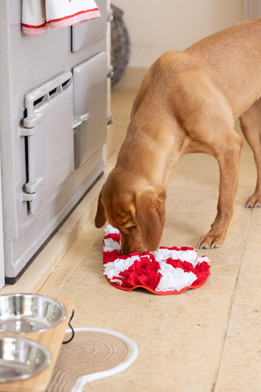 Candy Cane Snuffle Dog Toy