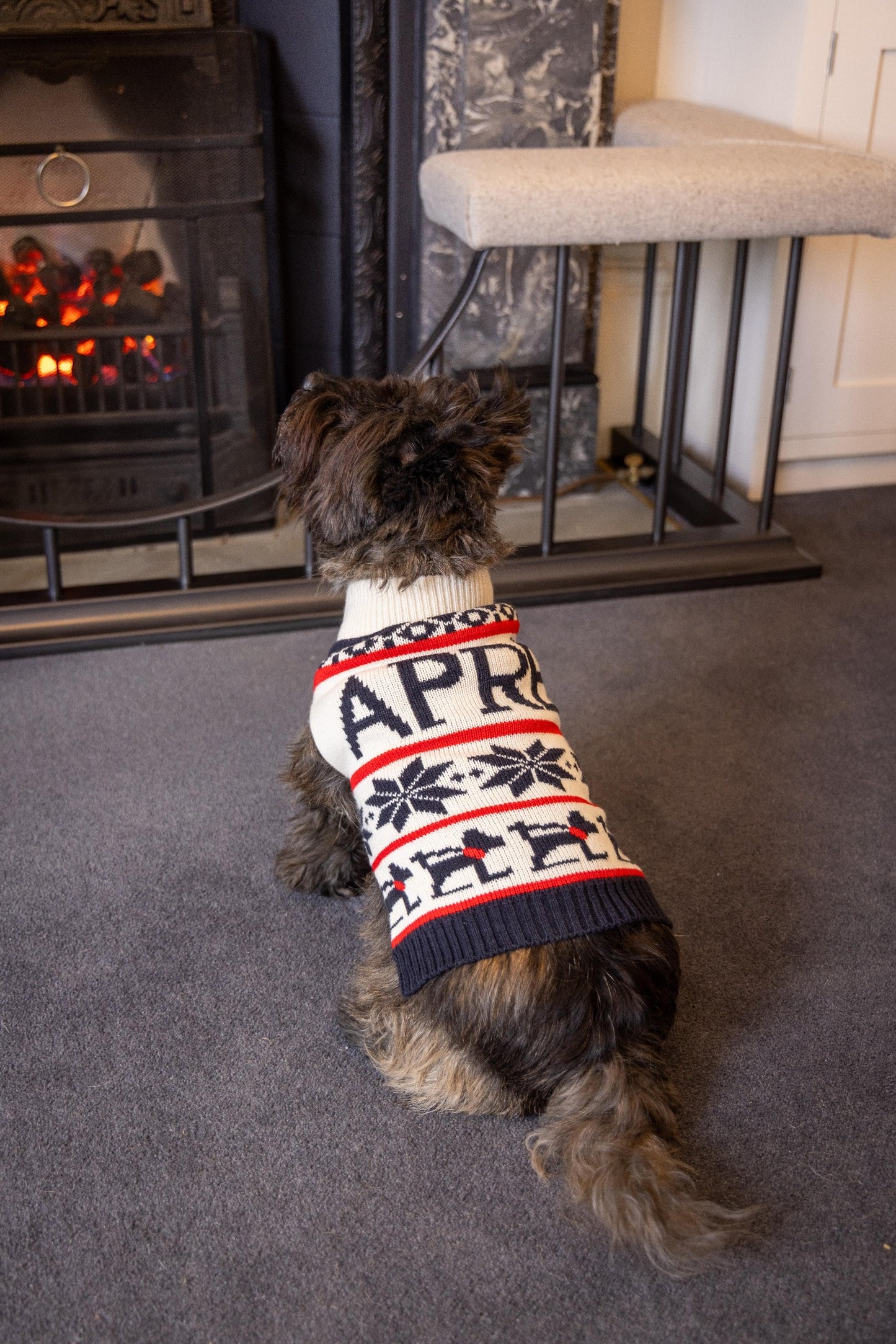 Après Polo Neck Dog Jumper