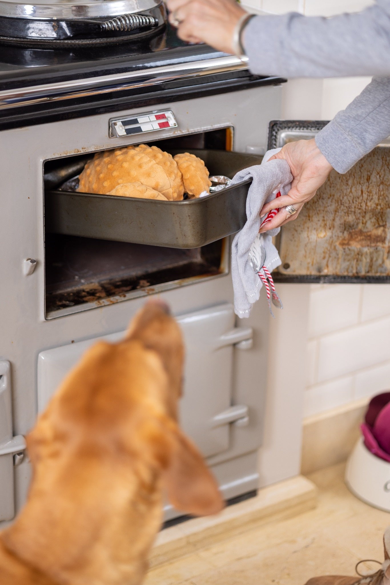 Christmas Roast Turkey Dog Toy