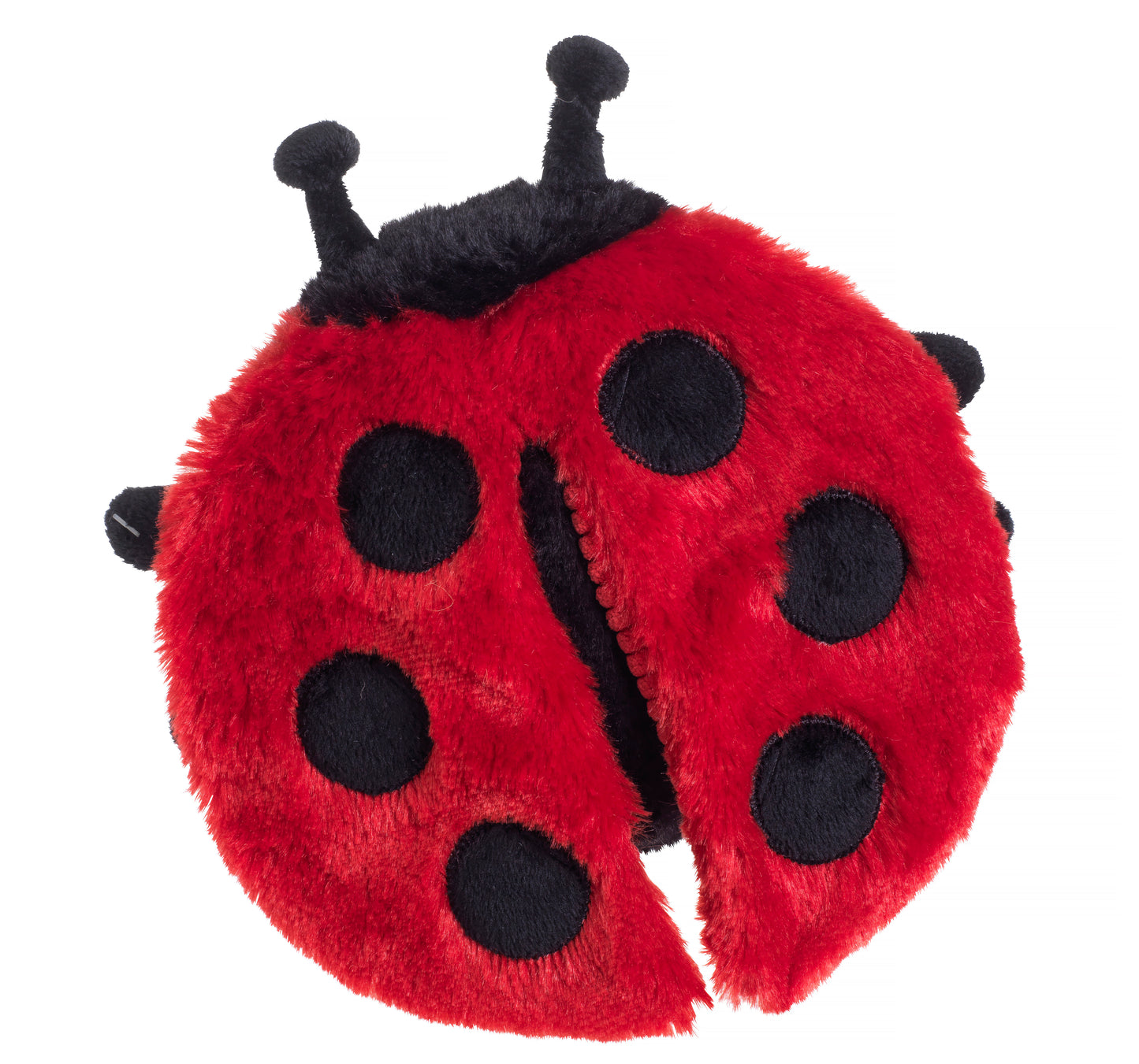 Really Squeaky Ladybird
