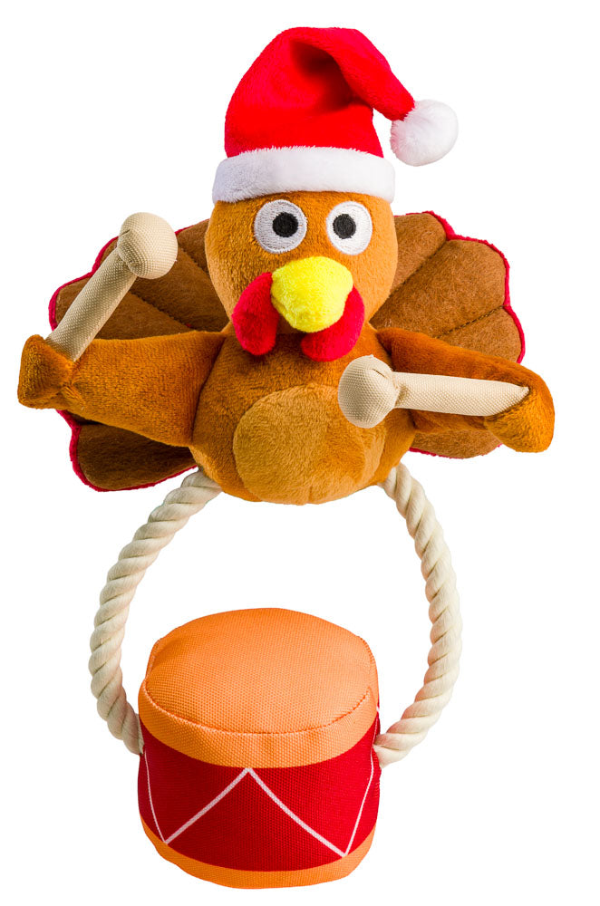 Turkey Drummer
