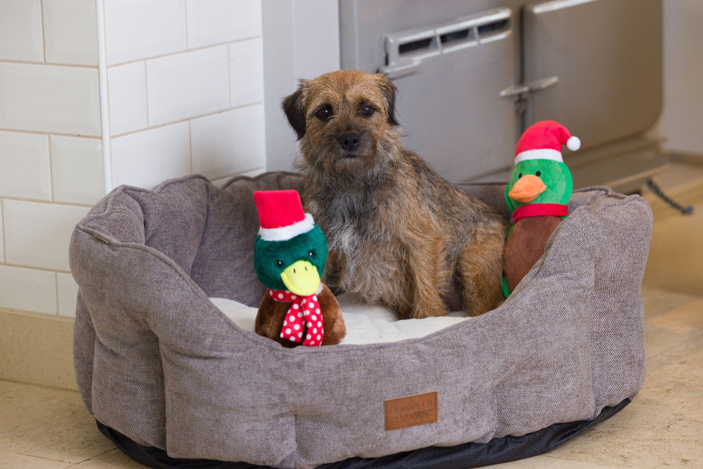 Christmas Quacker