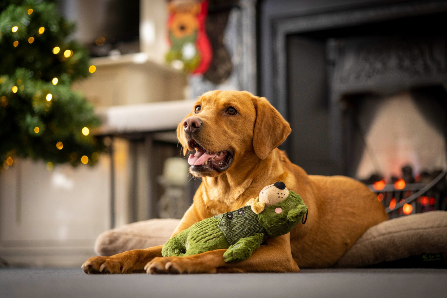 Winter Forest Bear Dog Toy