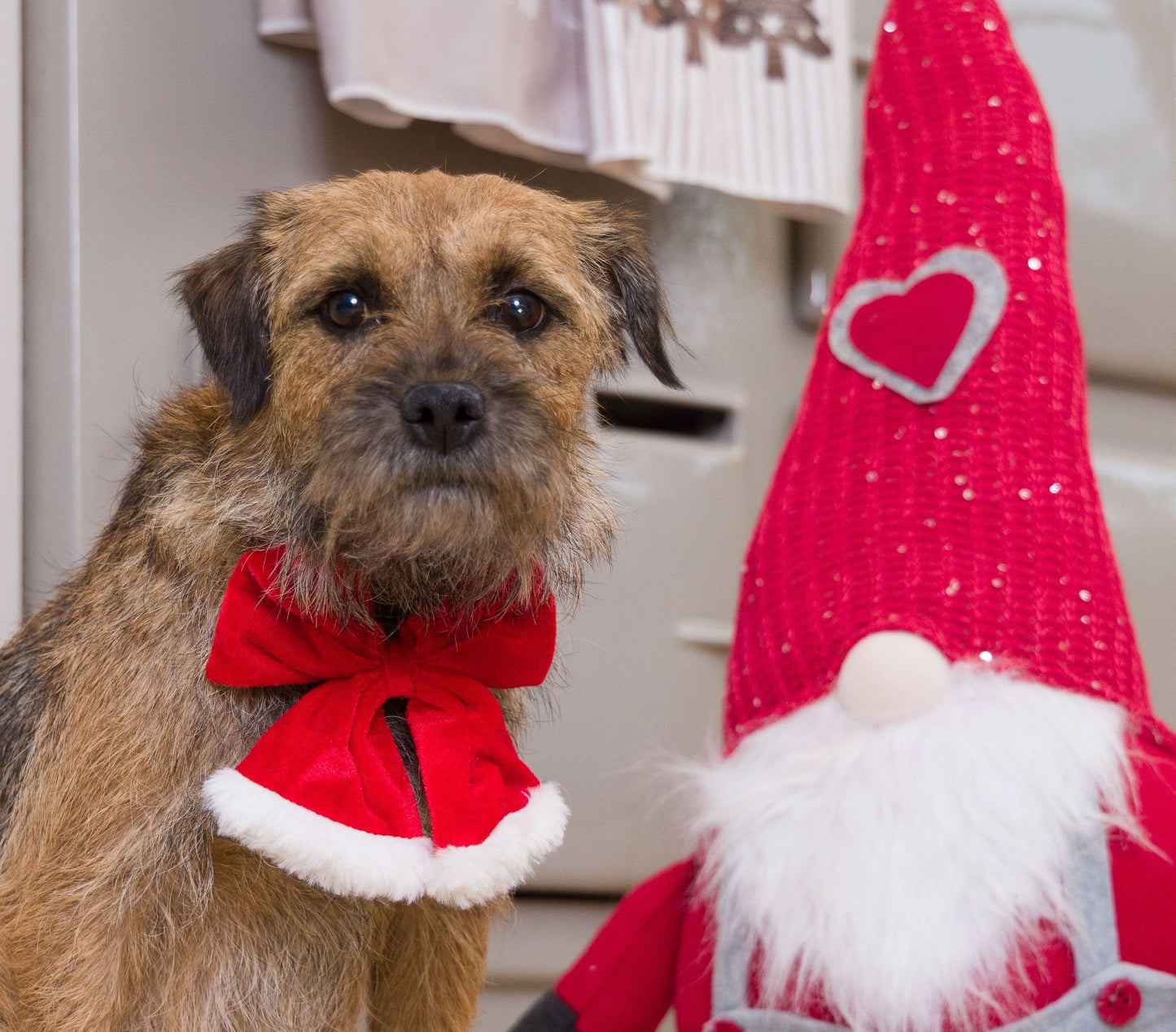 Santa Bow Tie