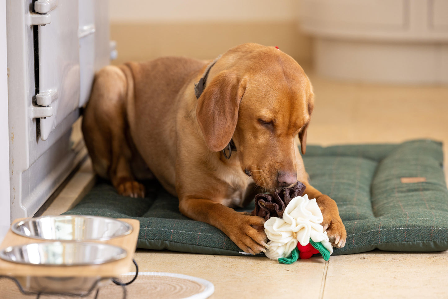 Christmas Pudding Snuffle Ball Dog Toy