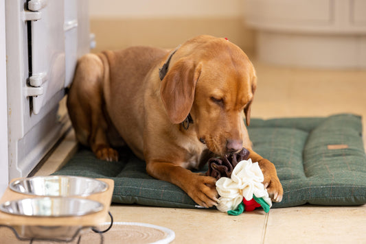 Christmas Pudding Snuffle Ball Dog Toy