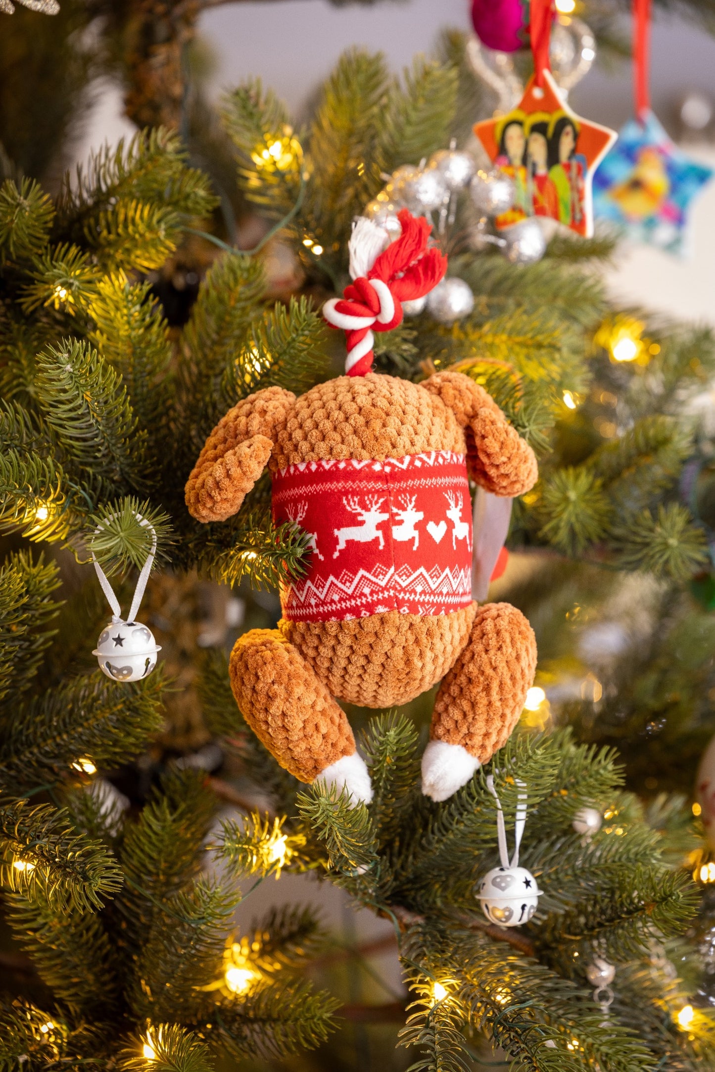 Christmas Turkey & Rope Toy