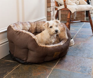 Arctic Fox Snuggle Oval Dog Bed