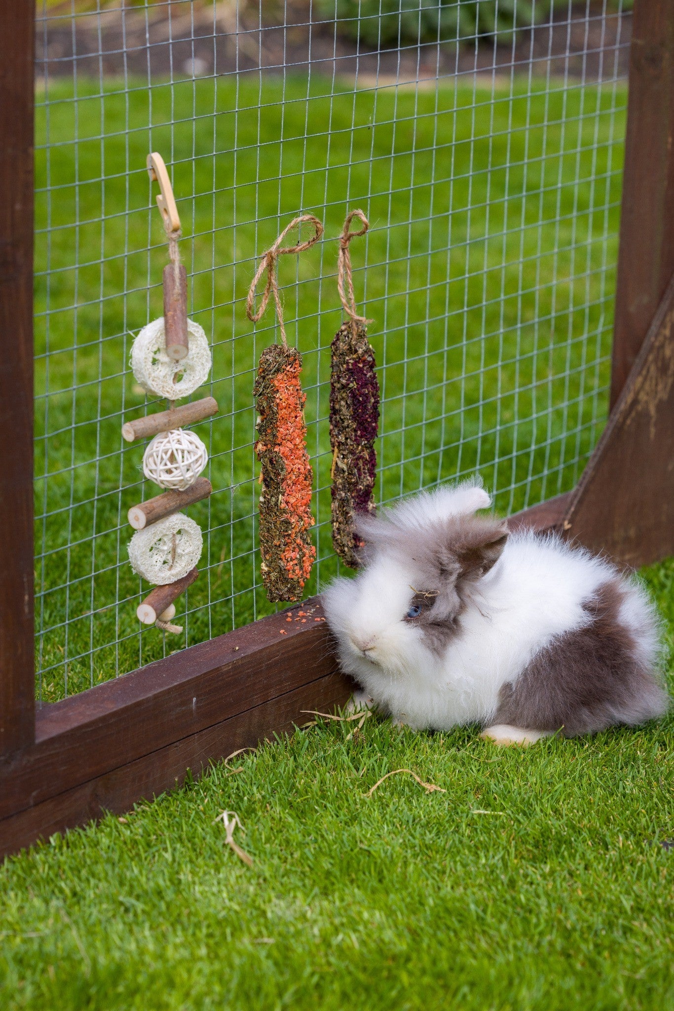 Go Forage! - Coming Soon!