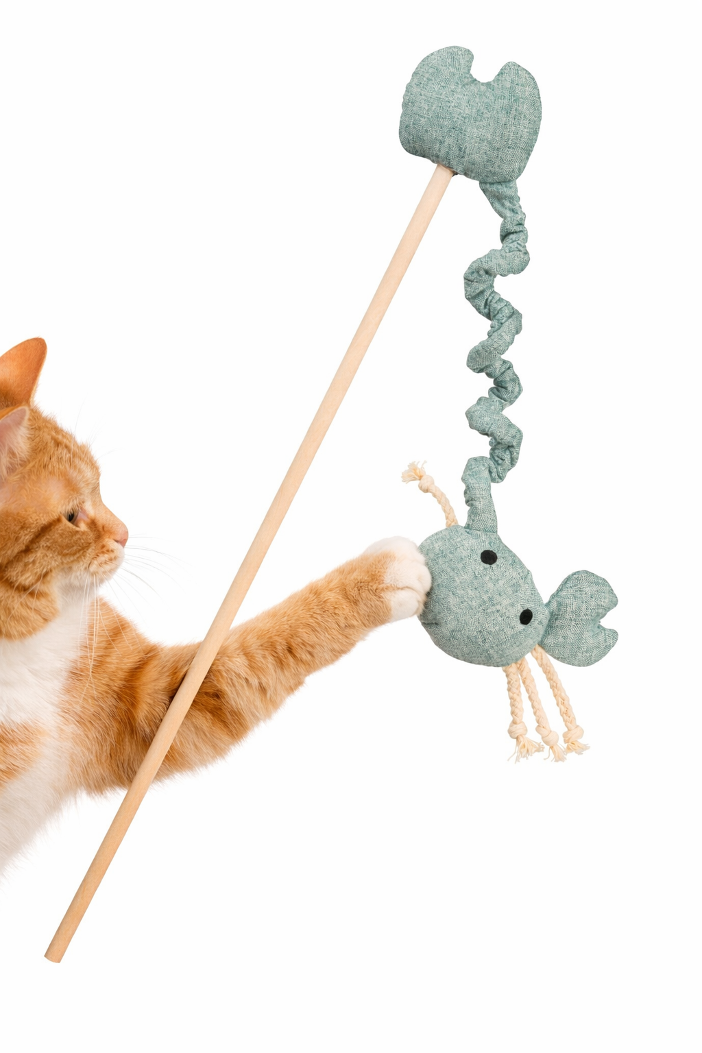 Cat Toys