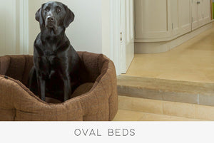 Oval Bed