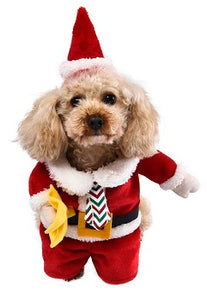 Christmas Clothing