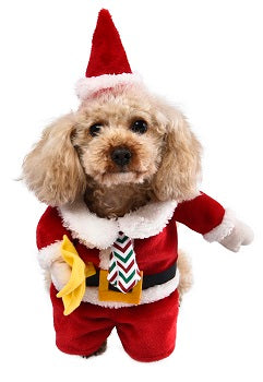 Christmas Clothing