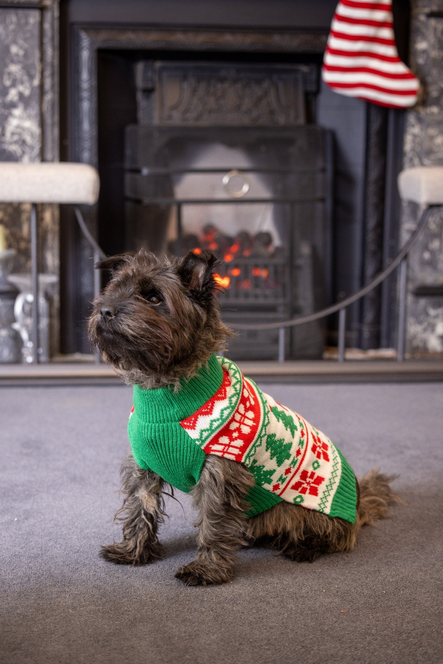 Christmas Polo Neck Jumper