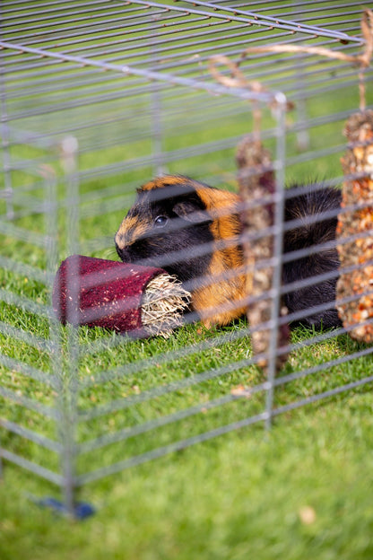 Beetroot Treat Tunnel