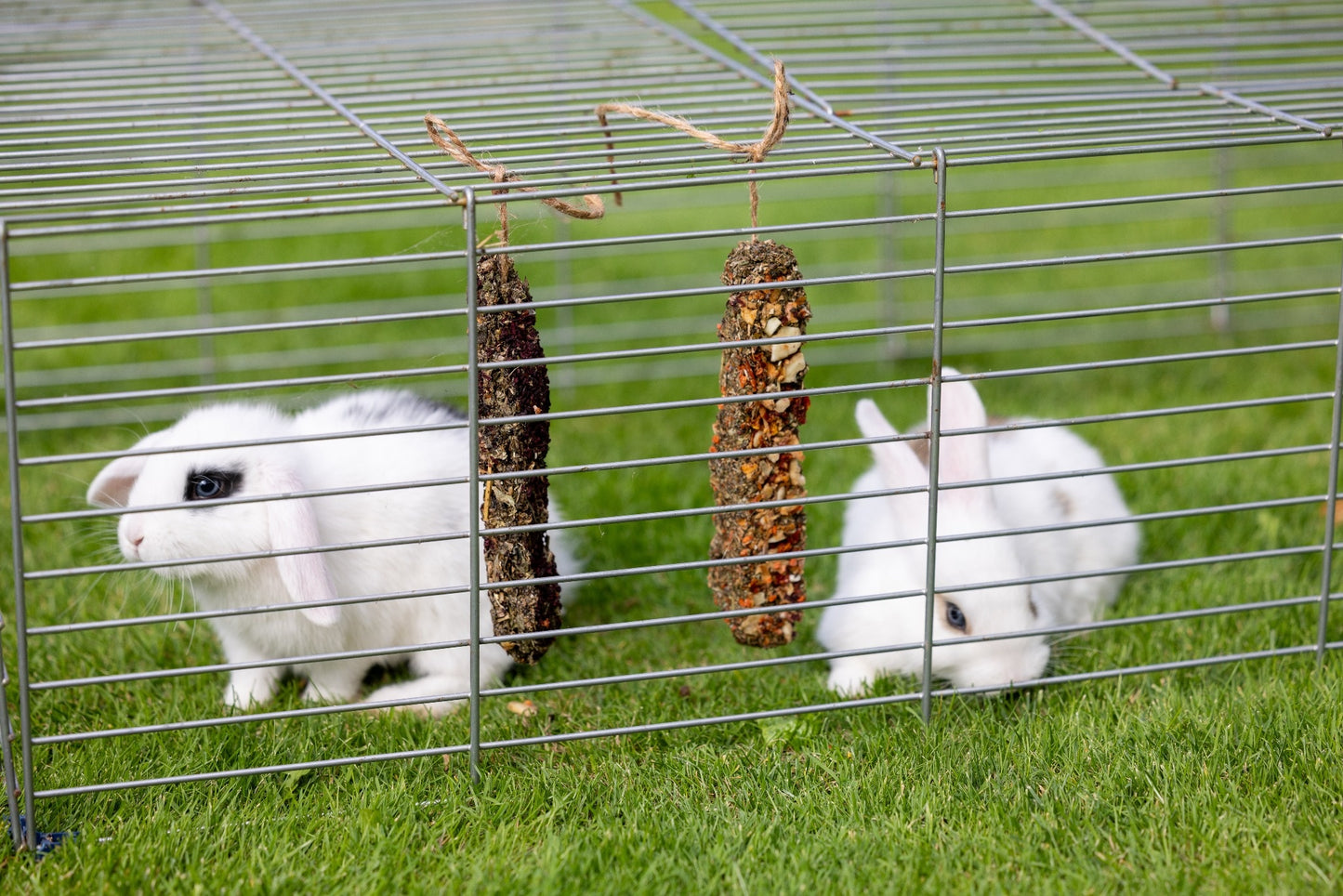 Garden Forage Bar - 2 Pack