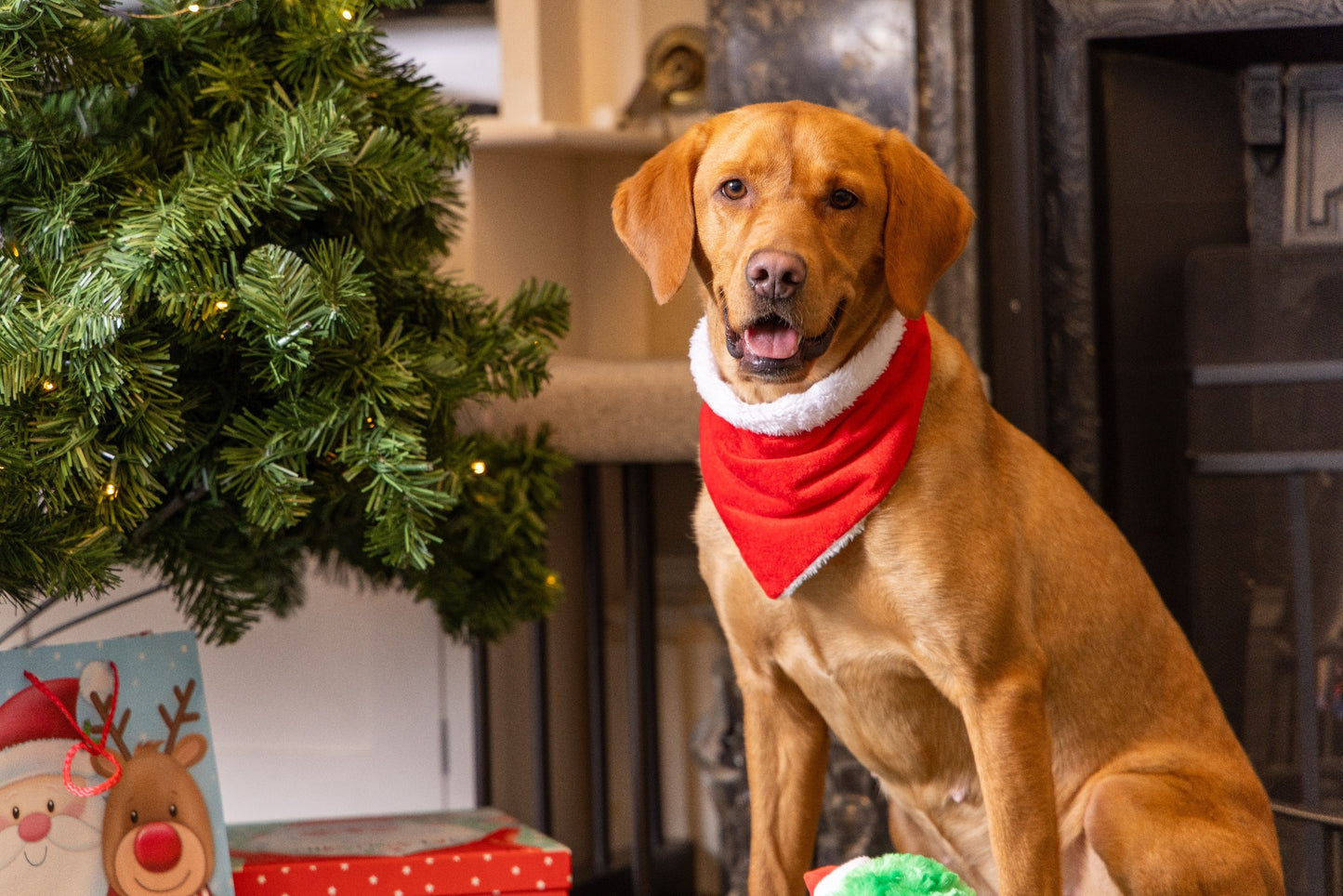 Christmas Santa Bandana