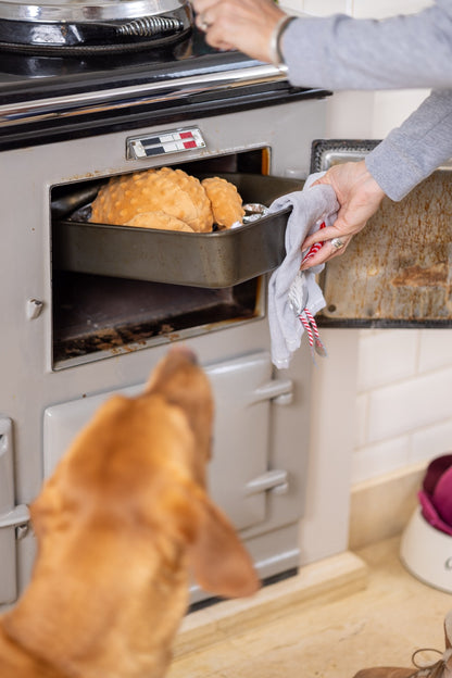 Christmas Roast Turkey Dog Toy