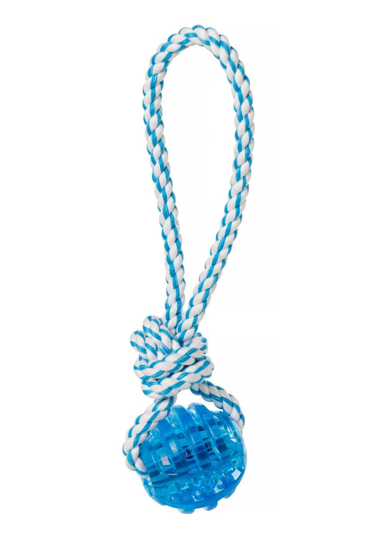Blue Rubber and Rope Ball Thrower
