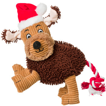 Noodle Santa paws