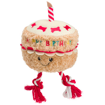 Birthday cake with rope toy