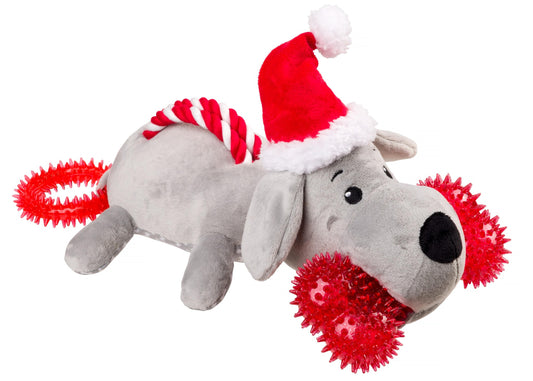 Santa Paws Dog Toy