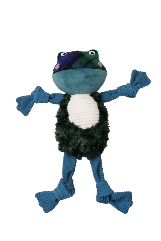 Winter Frog Dog Toy