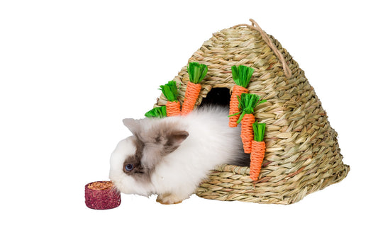 Carrot Hut Hideaway
