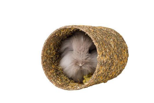 Marigold Tunnel - Medium