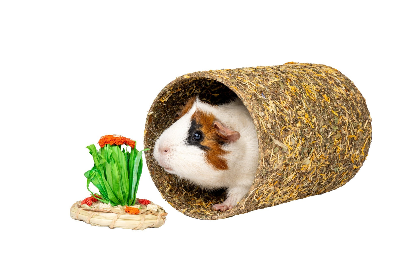 Marigold Tunnel - Medium