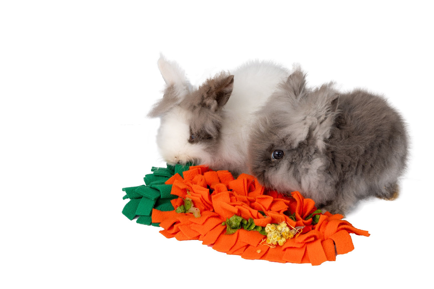 Carrot Snuffle Patch