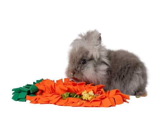 Carrot Snuffle Patch