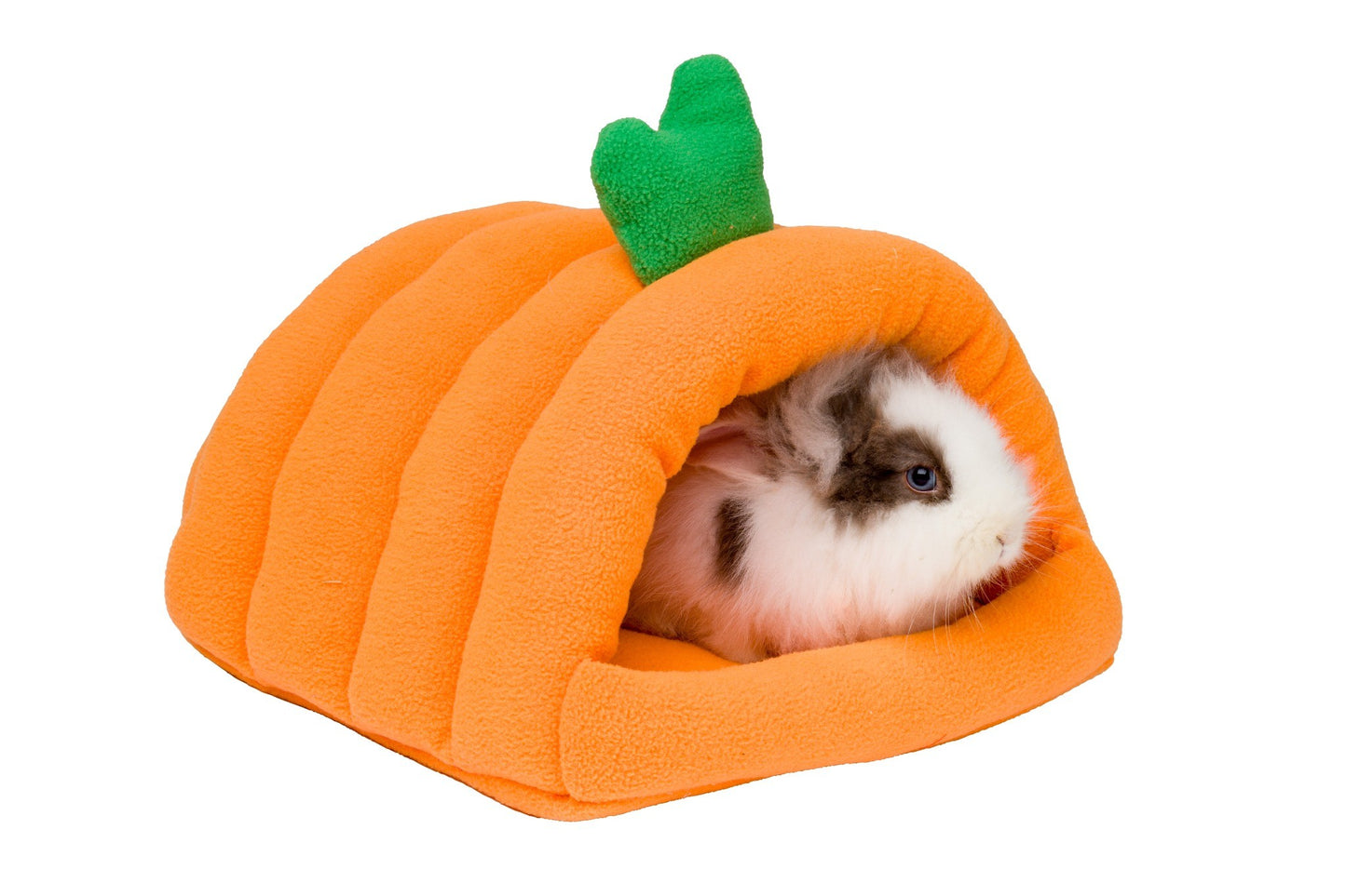 Carrot Plush Bed