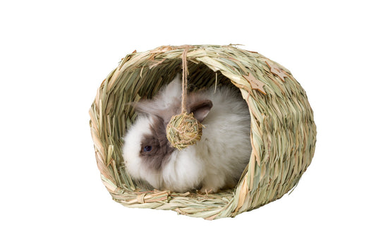 Starry Cave Hideaway