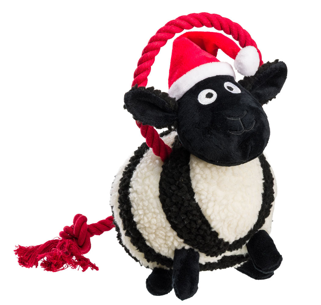 Baa Humbug