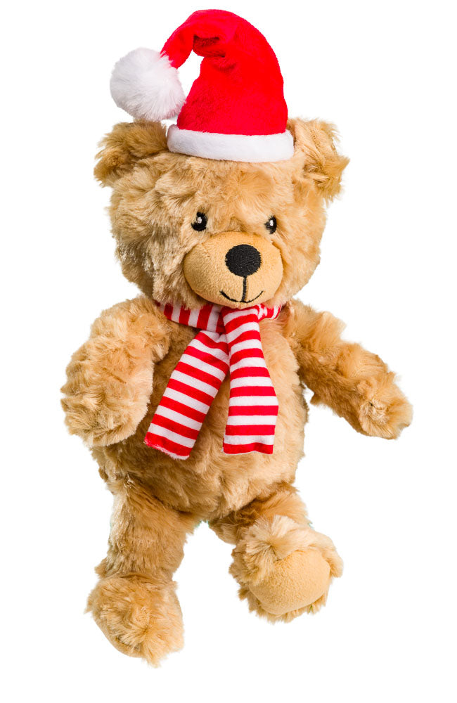 Snuggly Teddy Bear