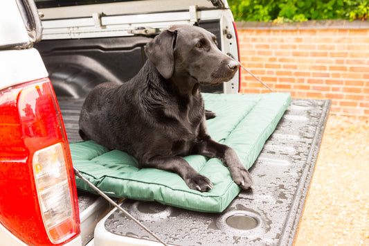 Green Water Resistant  Mat