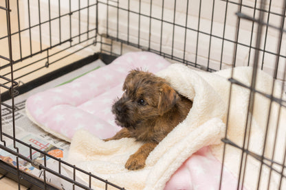 Fleece Star Crate Mat Pink - 2 Pack