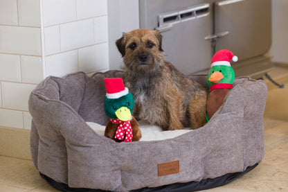 Christmas Quacker