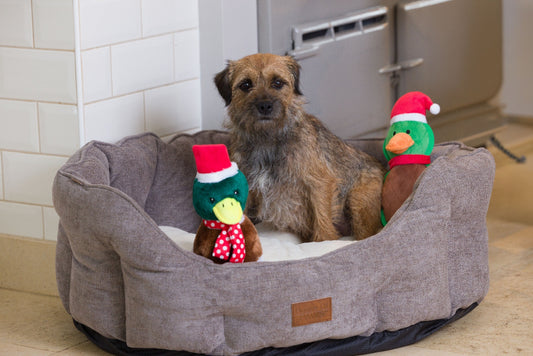 Christmas Quacker