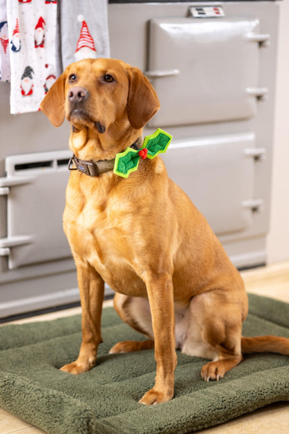 Holly Bow Tie