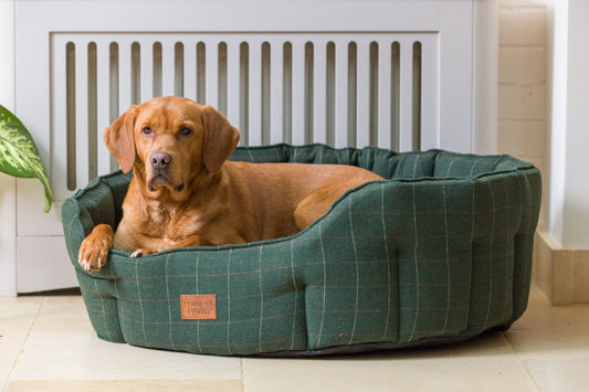 Green Tweed Oval Snuggle Bed