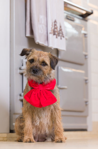 Oversized Red Velvet Bow Tie