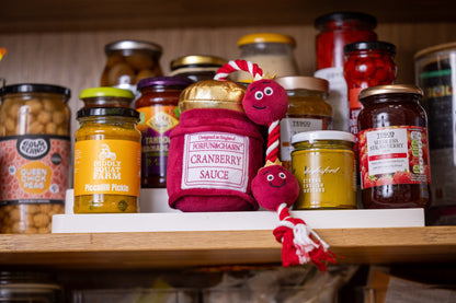 Cranberry Sauce Dog Toy