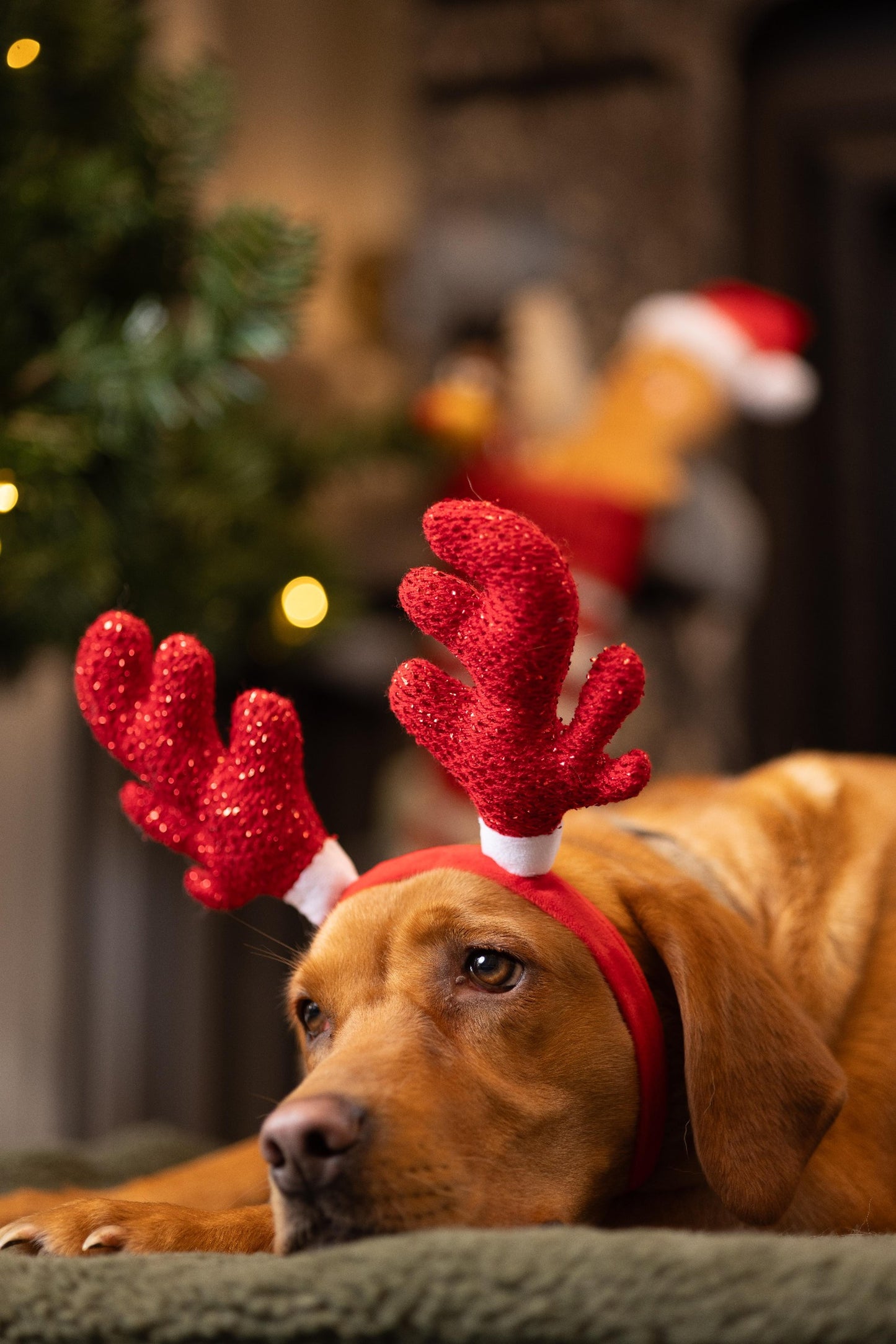 Red Sparkle Antlers Dog Headband