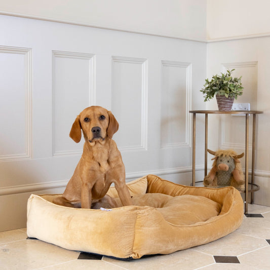 Velvet Bed - Mustard