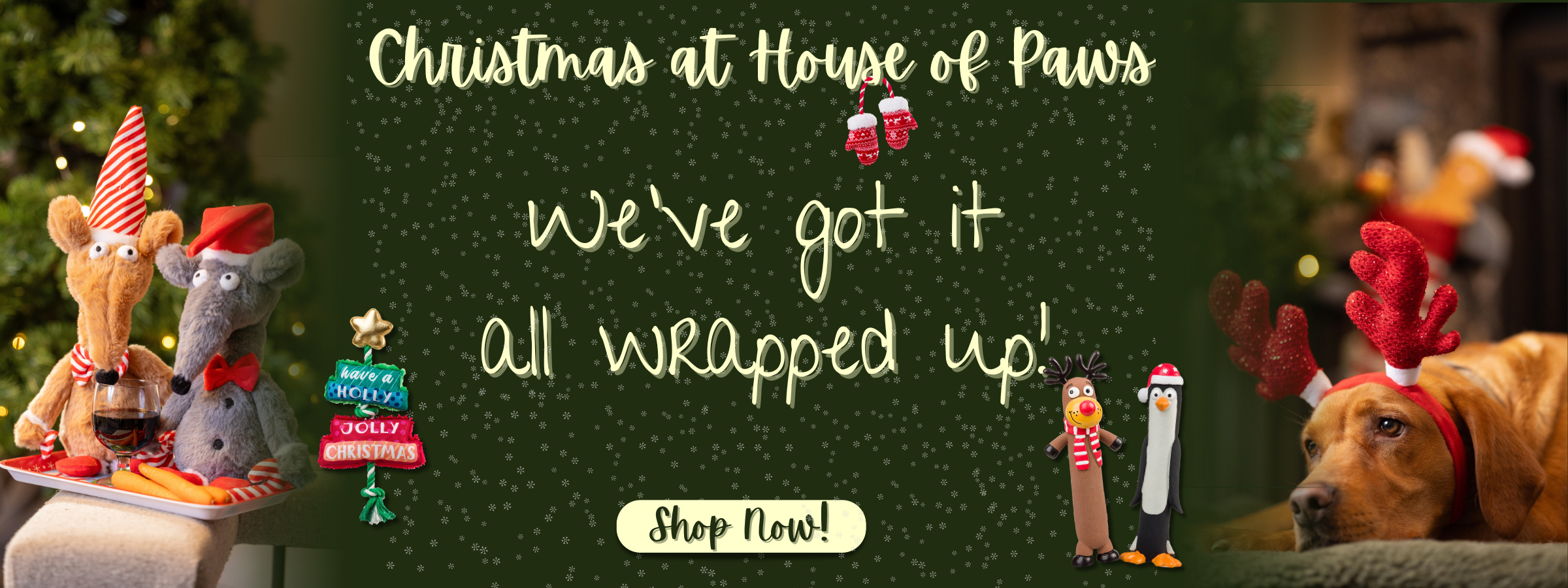 Christmas 2025 Collection