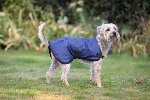 Comfort Zone Waterproof Jacket Navy