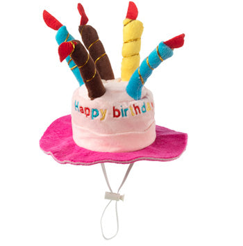 Birthday Hat Pink